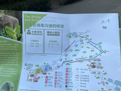 -野象谷景区