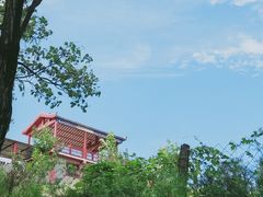 -阳台山自然风景区