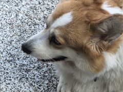 -肥朵食堂(带梦胡同店)