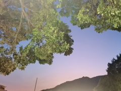-蘇河湾·新鲁菜·泰山宴(泰山店)