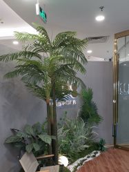 -八佰伴8008星级形象店