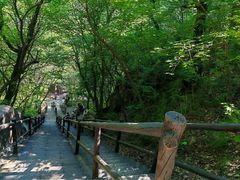 -茅兰沟国家森林公园