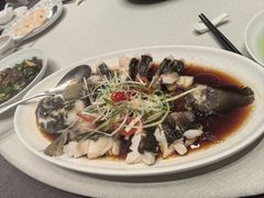 -新吉士·上海菜(浦东LCM置汇旭辉店)
