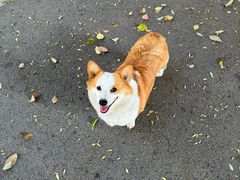 -宠颐生宠物医院·心肾内科·猫专科诊疗中心宠巢店