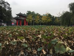-四川大学(望江校区)