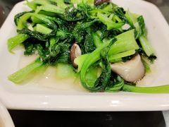 -老马家·舌尖上的西塘美食
