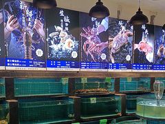 -梦都海鲜酒家(万达广场江桥店)