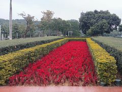 -红花山公园
