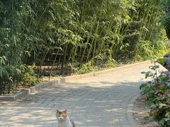 -北京市劳动人民文化宫(太庙)