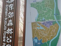 -东郊湿地公园