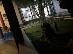 -暖心派对·独栋别墅团建聚会轰趴馆
