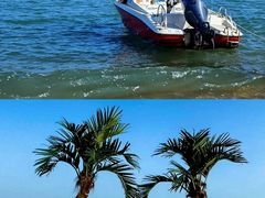 -巧克力渔家.小船海鲜家常菜(万平口店)