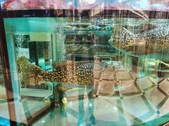 -金翠皇宫粤菜·点心·海鲜(科技园店)