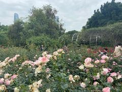 -人民公园(罗湖区)