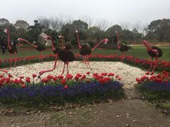 -上海鲜花港