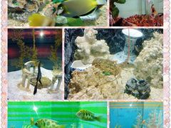 -常州海昌海洋探索馆