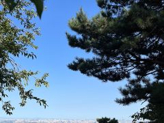 -北京西山国家森林公园