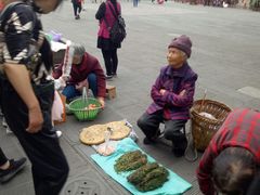 景点-崇州市街子古镇