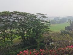 -深圳隐秀山居酒店