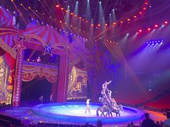 -珠海横琴长隆《卡卡虎奇遇记》