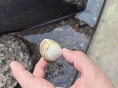 -天津东疆湾沙滩景区
