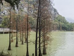 -星湖旅游景区七星岩