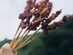 -龙寺生态园