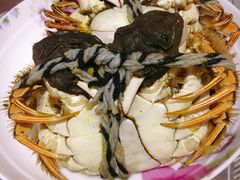 -乡乐园蟹庄·阳澄湖农家乐