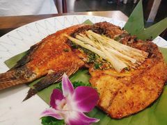-紫滇源云南生态菜(丹凤街店)