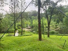 -云溪植物园