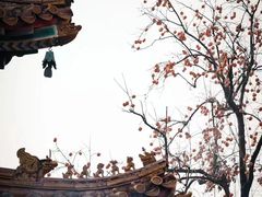 -雍和宫