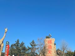 -西霞口神雕山野生动物世界