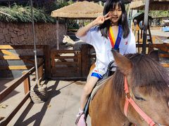 -静之湖湖畔餐厅