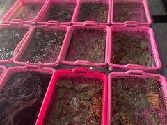 -众味海鲜大排档·活海鲜·潮汕味(南澳店)