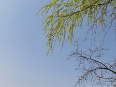 -状元虎.摇滚炒鸡.家常菜(义勇街店)