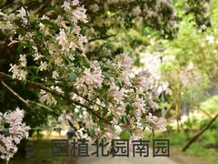 -国家植物园南园