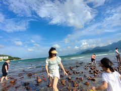 -花海间·即刻露营