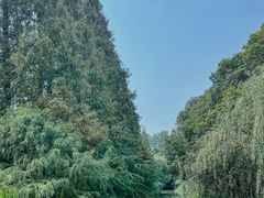 -同里国家湿地公园