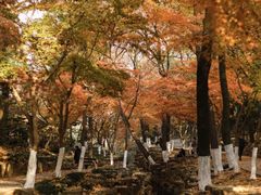 -虞山风景区
