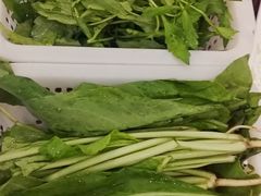 -正能量脆肉鲩火锅