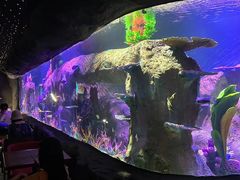 -秦皇岛新澳海底世界
