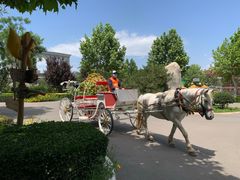 -石家庄市动物园