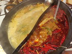 -朱光玉火锅馆(正弘城店)