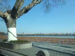 -星巴克(西湖天地店)