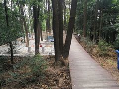 -南山植物园