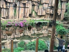 -长鹿旅游休博园
