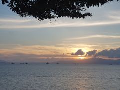 -七鲜渔港美食餐厅(巽寮湾海景店)