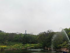 -巢湖姥山岛