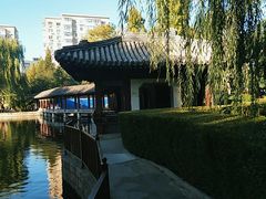 -团结湖公园