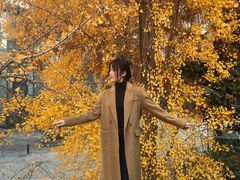 -腾爱熊猫咖啡生活馆(老东门店)